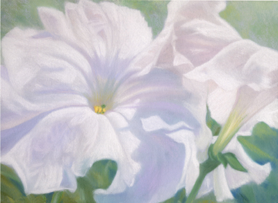 Petunia Duet B